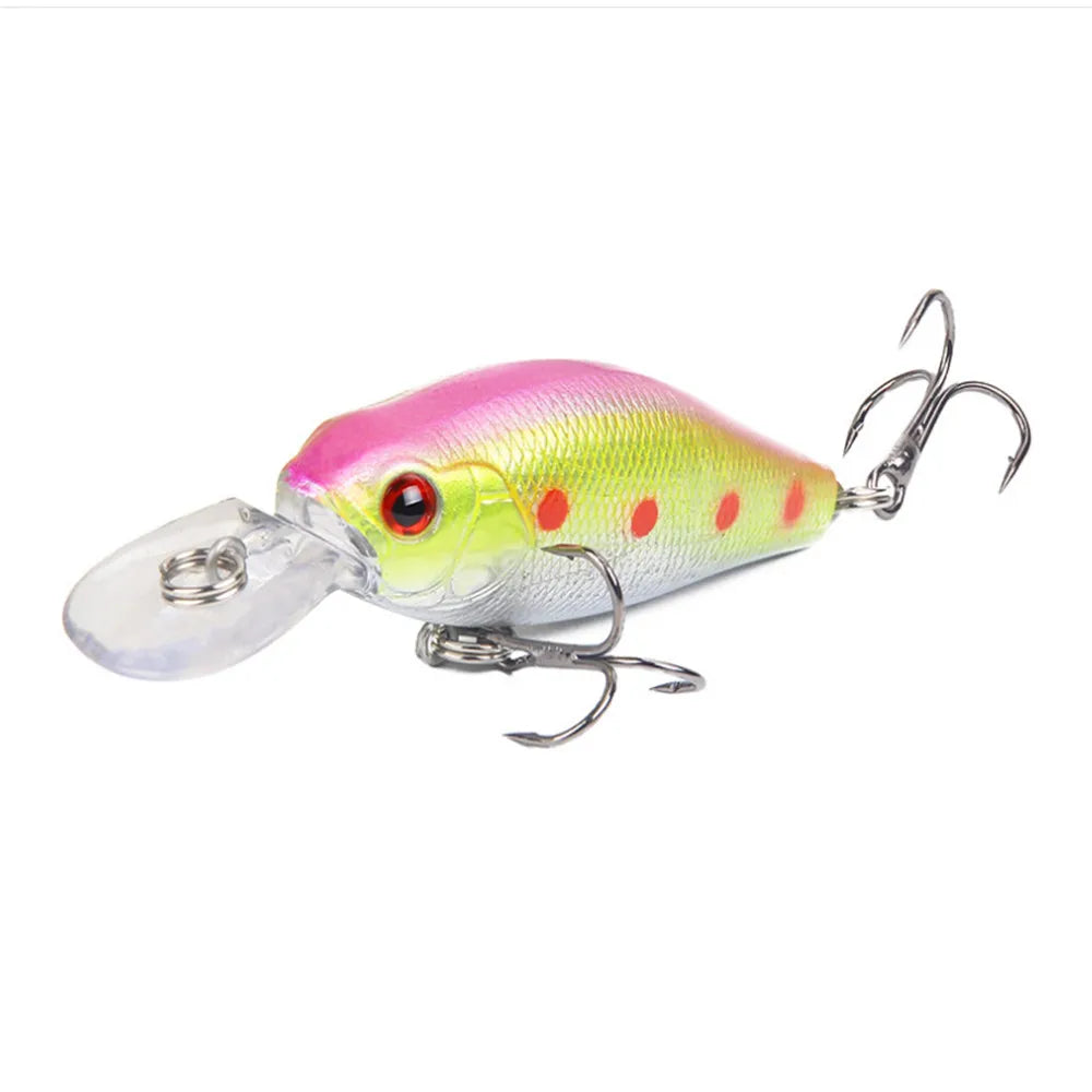 Fishing Crank Bait