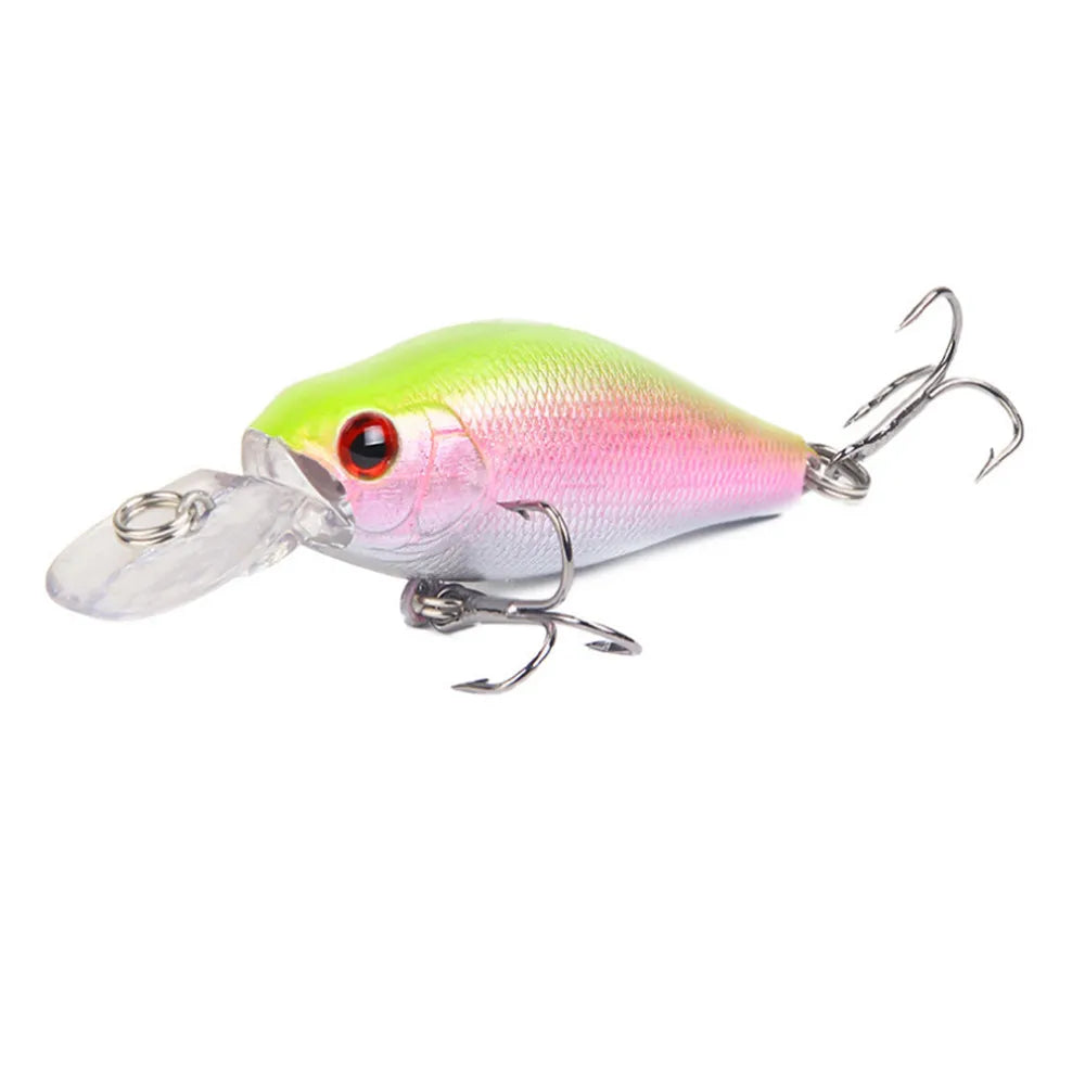 Fishing Crank Bait