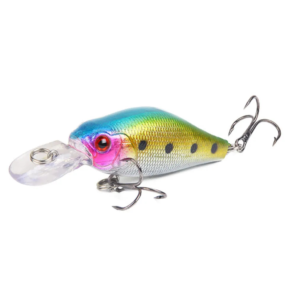 Fishing Crank Bait