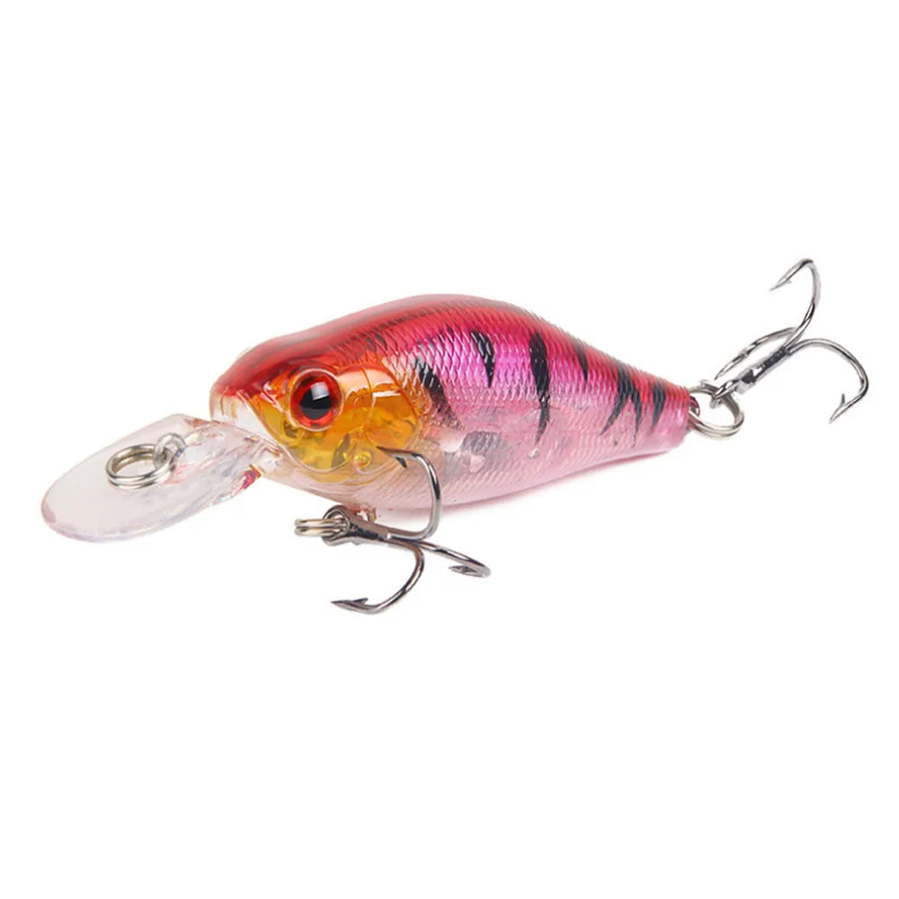 Fishing Crank Bait